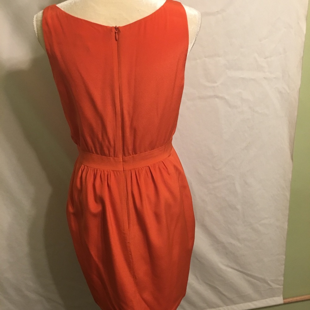 Dress - Picture 5 of 6